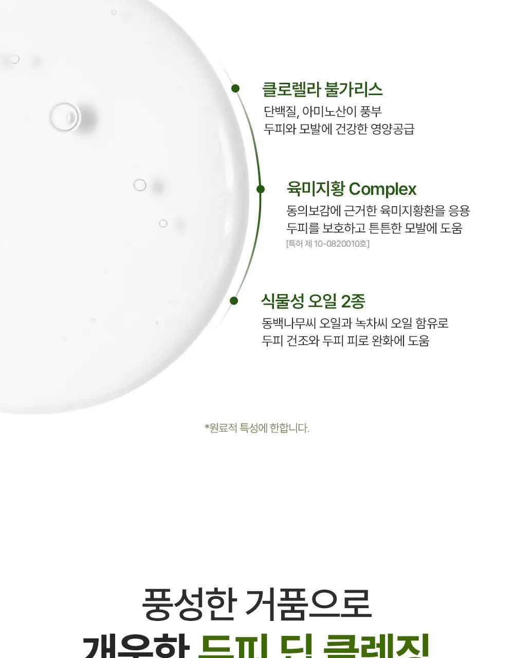 [대용량/탈모증상완화] 달리프 클로렐라 베러 루트 릴렉싱 샴푸 1000ml 상세페이지 26